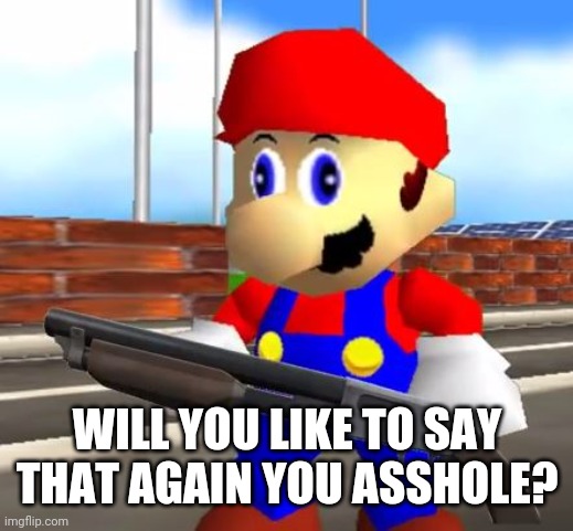 SMG4 Shotgun Mario | WILL YOU LIKE TO SAY THAT AGAIN YOU ASSHOLE? | image tagged in smg4 shotgun mario | made w/ Imgflip meme maker