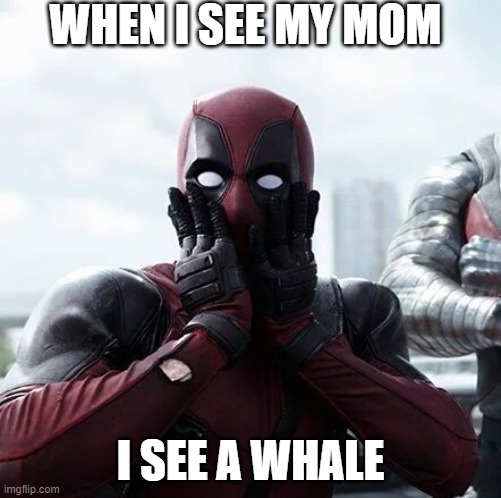 Deadpool Surprised |  WHEN I SEE MY MOM; I SEE A WHALE | image tagged in memes,deadpool surprised | made w/ Imgflip meme maker