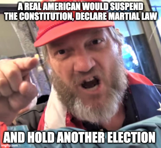 ANGRY TRUMP SUPPORTER | A REAL AMERICAN WOULD SUSPEND THE CONSTITUTION, DECLARE MARTIAL LAW; AND HOLD ANOTHER ELECTION | image tagged in angry trump supporter | made w/ Imgflip meme maker