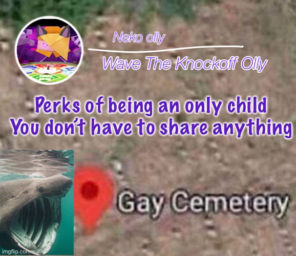 O | Perks of being an only child
You don’t have to share anything | image tagged in o | made w/ Imgflip meme maker