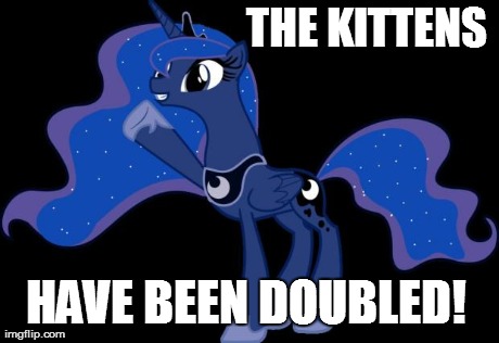 THE KITTENS HAVE BEEN DOUBLED! | image tagged in luna fun doubled | made w/ Imgflip meme maker