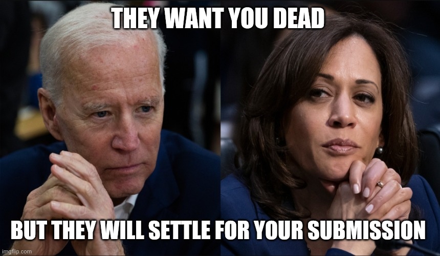 They want you dead but will settle for your submission | THEY WANT YOU DEAD; BUT THEY WILL SETTLE FOR YOUR SUBMISSION | image tagged in biden,kamala harris | made w/ Imgflip meme maker