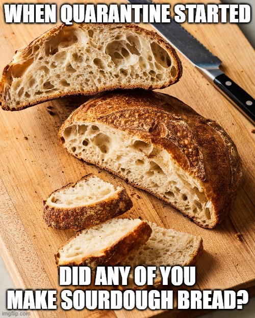Sourdough bread | WHEN QUARANTINE STARTED; DID ANY OF YOU MAKE SOURDOUGH BREAD? | image tagged in sourdough bread | made w/ Imgflip meme maker