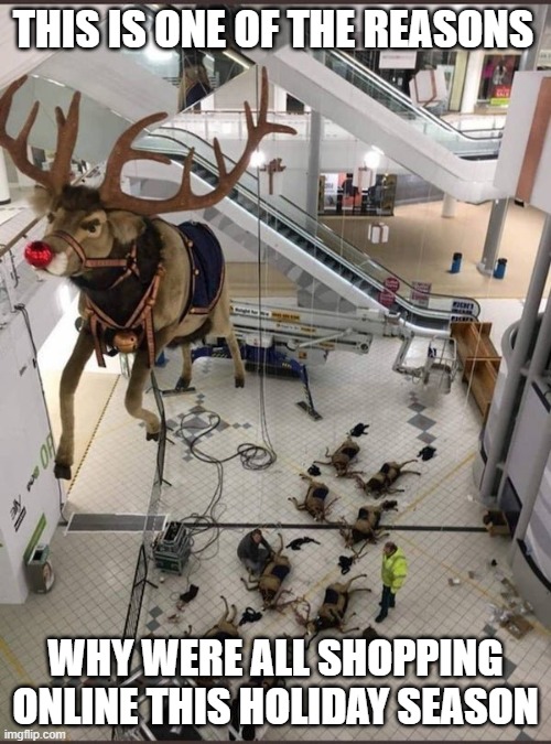 Messy But True | THIS IS ONE OF THE REASONS; WHY WERE ALL SHOPPING ONLINE THIS HOLIDAY SEASON | image tagged in meme,awesomeness,rudolph,reindeer | made w/ Imgflip meme maker
