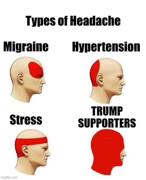 Trump Supporters | TRUMP SUPPORTERS | image tagged in types of headache,trump,donald trump,maga | made w/ Imgflip meme maker