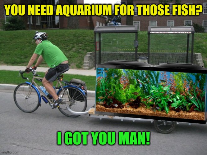 YOU NEED AQUARIUM FOR THOSE FISH? I GOT YOU MAN! | made w/ Imgflip meme maker