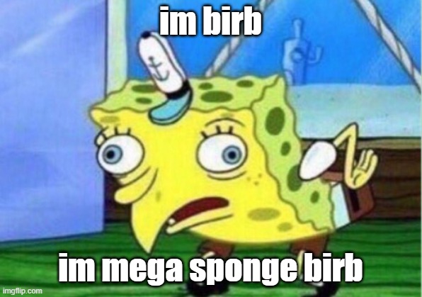 Mocking Spongebob | im birb; im mega sponge birb | image tagged in memes,mocking spongebob | made w/ Imgflip meme maker