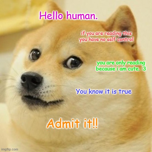 Doge | Hello human. if you are reading this you have no self control; you are only reading because i am cute. :3; You know it is true; Admit it!! | image tagged in memes,doge | made w/ Imgflip meme maker