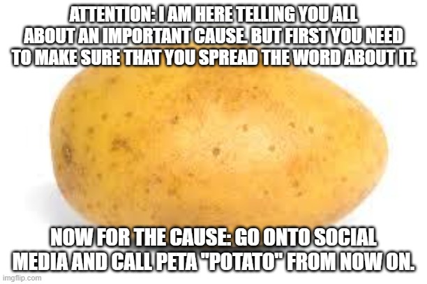 Please actually do this. | ATTENTION: I AM HERE TELLING YOU ALL ABOUT AN IMPORTANT CAUSE. BUT FIRST YOU NEED TO MAKE SURE THAT YOU SPREAD THE WORD ABOUT IT. NOW FOR THE CAUSE: GO ONTO SOCIAL MEDIA AND CALL PETA "POTATO" FROM NOW ON. | image tagged in potato,peta,important,social media,attention | made w/ Imgflip meme maker