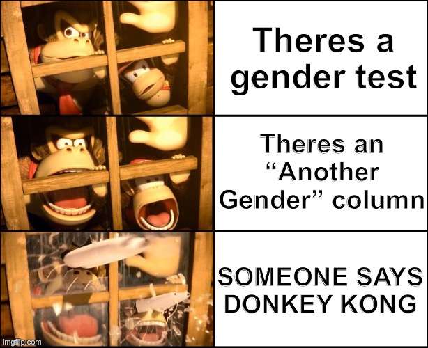 Donkey Kong and Diddy Kong surprised | Theres a gender test Theres an “Another Gender” column SOMEONE SAYS DONKEY KONG | image tagged in donkey kong and diddy kong surprised | made w/ Imgflip meme maker