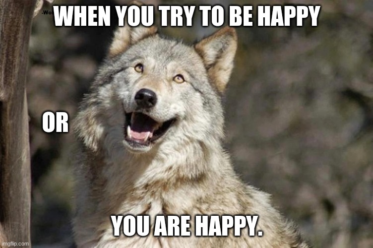 Be Happy | WHEN YOU TRY TO BE HAPPY; OR; YOU ARE HAPPY. | image tagged in optimistic moon moon wolf vanadium wolf | made w/ Imgflip meme maker