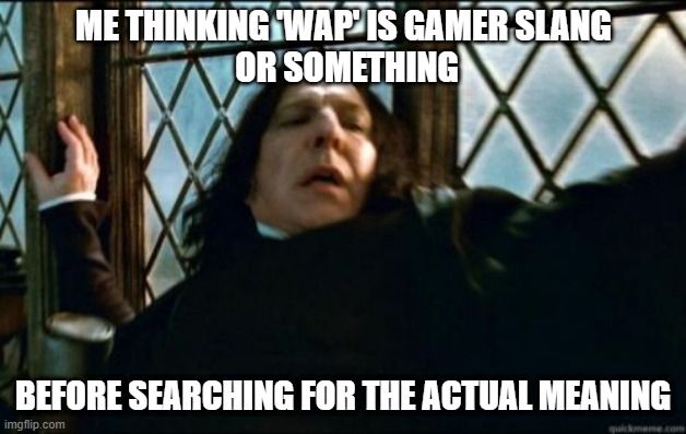 'waffles and pancakes' is better | ME THINKING 'WAP' IS GAMER SLANG 
OR SOMETHING; BEFORE SEARCHING FOR THE ACTUAL MEANING | image tagged in memes,snape | made w/ Imgflip meme maker