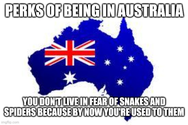 australia | PERKS OF BEING IN AUSTRALIA; YOU DON'T LIVE IN FEAR OF SNAKES AND SPIDERS BECAUSE BY NOW YOU'RE USED TO THEM | image tagged in australia | made w/ Imgflip meme maker