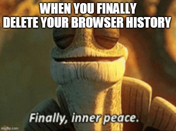 Browser Meme | WHEN YOU FINALLY DELETE YOUR BROWSER HISTORY | image tagged in finally inner peace | made w/ Imgflip meme maker