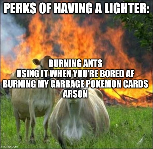 For legal reasons that’s a joke | PERKS OF HAVING A LIGHTER:; BURNING ANTS
USING IT WHEN YOU’RE BORED AF
BURNING MY GARBAGE POKEMON CARDS
ARSON | image tagged in memes,evil cows | made w/ Imgflip meme maker