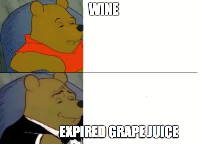 Fancy Winnie The Pooh Meme | WINE; EXPIRED GRAPE JUICE | image tagged in fancy winnie the pooh meme | made w/ Imgflip meme maker