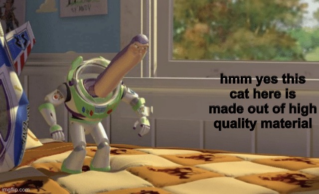 Hmm yes | hmm yes this cat here is made out of high quality material | image tagged in hmm yes | made w/ Imgflip meme maker