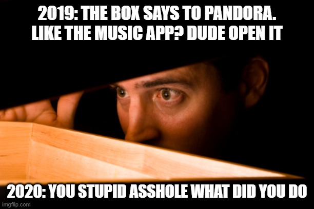 2020 | 2019: THE BOX SAYS TO PANDORA. LIKE THE MUSIC APP? DUDE OPEN IT; 2020: YOU STUPID ASSHOLE WHAT DID YOU DO | image tagged in lol | made w/ Imgflip meme maker