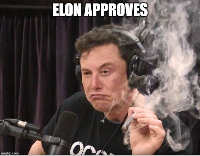 ELON APPROVES | image tagged in elon musk smoking a joint | made w/ Imgflip meme maker