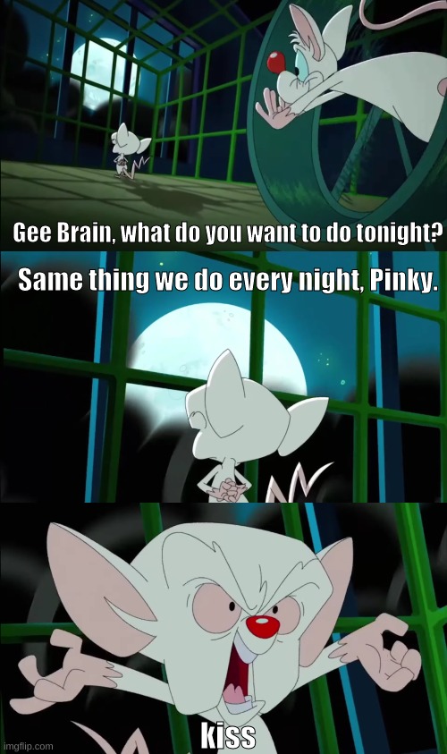 Pinky and the Brain be like | Gee Brain, what do you want to do tonight? Same thing we do every night, Pinky. kiss | image tagged in pinky and the brain | made w/ Imgflip meme maker