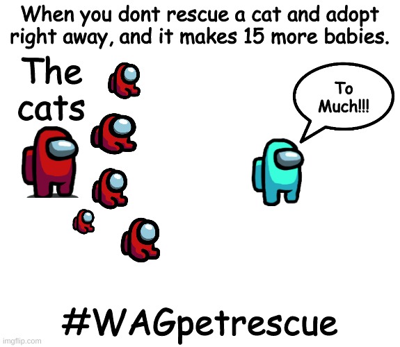 Not rescuing #WAGPetRescue | When you dont rescue a cat and adopt right away, and it makes 15 more babies. The cats; To Much!!! #WAGpetrescue | image tagged in bruh moment | made w/ Imgflip meme maker