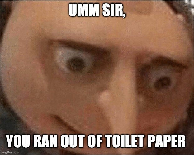 uh oh Gru | UMM SIR, YOU RAN OUT OF TOILET PAPER | image tagged in uh oh gru | made w/ Imgflip meme maker