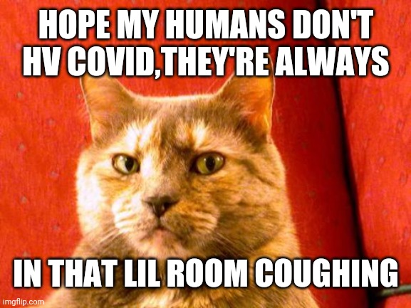 Suspicious Cat |  HOPE MY HUMANS DON'T HV COVID,THEY'RE ALWAYS; IN THAT LIL ROOM COUGHING | image tagged in memes,suspicious cat | made w/ Imgflip meme maker