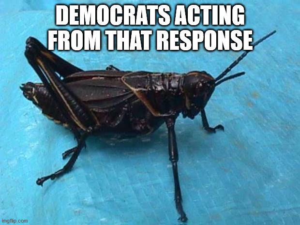 Cricket  | DEMOCRATS ACTING FROM THAT RESPONSE | image tagged in cricket | made w/ Imgflip meme maker