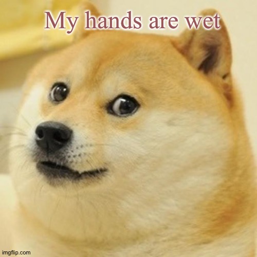 Don't ask me why, because I don't know. | My hands are wet | image tagged in memes,doge,why | made w/ Imgflip meme maker