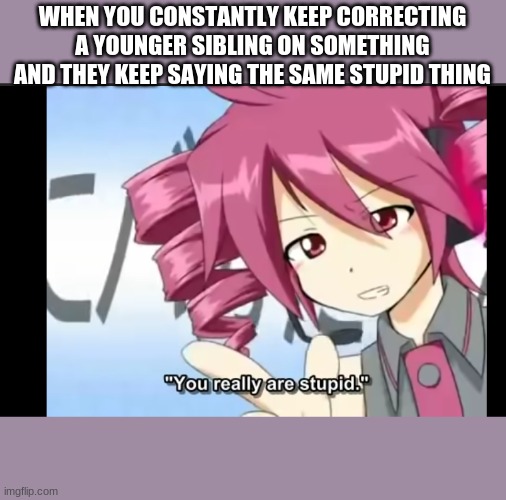 This makes me laugh | WHEN YOU CONSTANTLY KEEP CORRECTING A YOUNGER SIBLING ON SOMETHING AND THEY KEEP SAYING THE SAME STUPID THING | image tagged in stupid,siblings | made w/ Imgflip meme maker