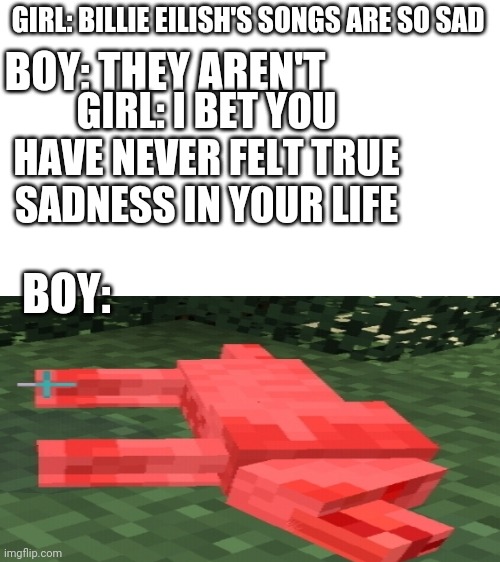 Blank White Template | GIRL: BILLIE EILISH'S SONGS ARE SO SAD; BOY: THEY AREN'T; GIRL: I BET YOU HAVE NEVER FELT TRUE SADNESS IN YOUR LIFE; BOY: | image tagged in minecraft,girls vs boys,billie eilish,memes | made w/ Imgflip meme maker