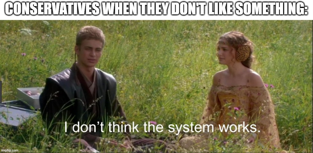 I don't think the system works | CONSERVATIVES WHEN THEY DON'T LIKE SOMETHING: | image tagged in i don't think the system works | made w/ Imgflip meme maker