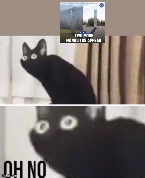 why | image tagged in oh no cat | made w/ Imgflip meme maker