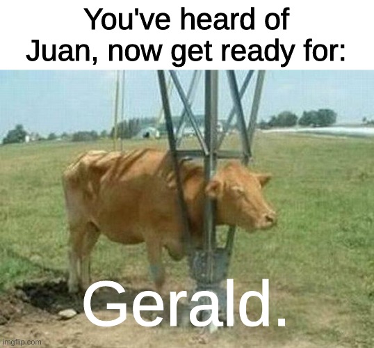 gen z be like: | You've heard of Juan, now get ready for:; Gerald. | image tagged in funny | made w/ Imgflip meme maker