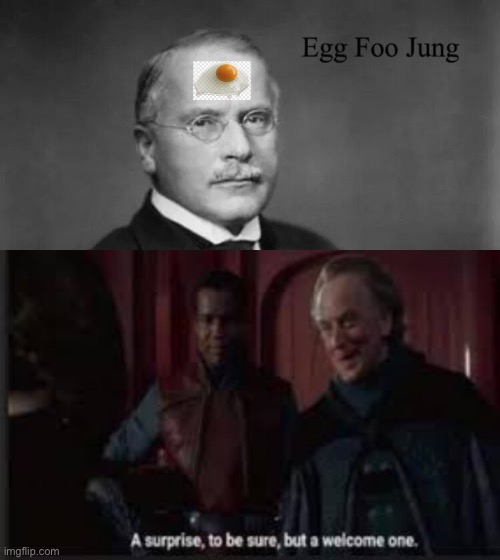 From The Producers Of The Jung Ones | image tagged in a surprise to be sure,psychology,psychiatrist | made w/ Imgflip meme maker