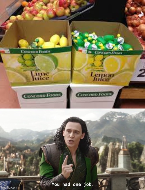 image tagged in you had one job just the one | made w/ Imgflip meme maker
