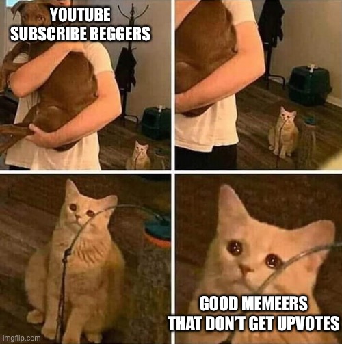 UpVotve iF yUo wAnt | YOUTUBE SUBSCRIBE BEGGERS; GOOD MEMEERS THAT DON’T GET UPVOTES | image tagged in ignored cat | made w/ Imgflip meme maker