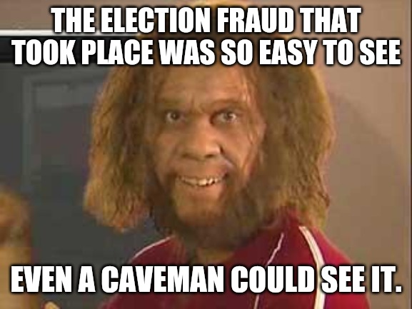 C'mon Man | THE ELECTION FRAUD THAT TOOK PLACE WAS SO EASY TO SEE; EVEN A CAVEMAN COULD SEE IT. | image tagged in caveman,election 2020,biden,trump,election fraud | made w/ Imgflip meme maker