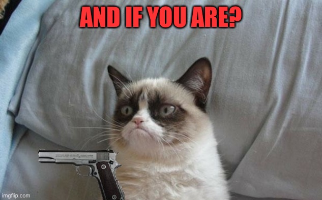Grumpy cat gun | AND IF YOU ARE? | image tagged in grumpy cat gun | made w/ Imgflip meme maker