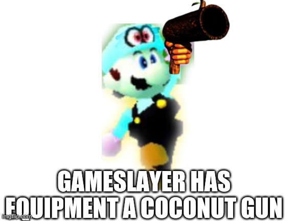 Blank White Template | GAMESLAYER HAS EQUIPMENT A COCONUT GUN | image tagged in blank white template,memes,funny | made w/ Imgflip meme maker