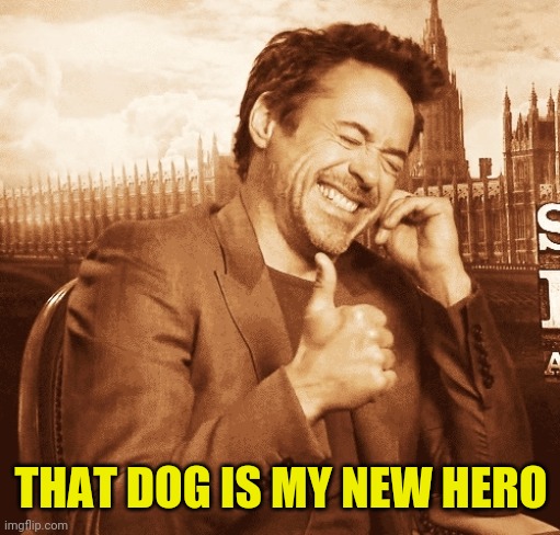 laughing | THAT DOG IS MY NEW HERO | image tagged in laughing | made w/ Imgflip meme maker