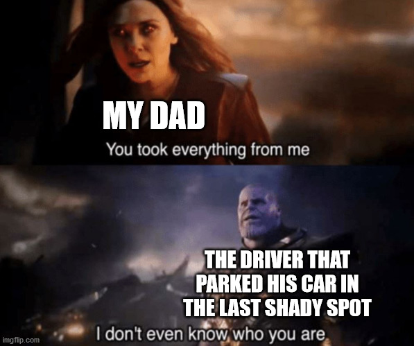 oh now it's personal | MY DAD; THE DRIVER THAT PARKED HIS CAR IN THE LAST SHADY SPOT | image tagged in you took everything from me - i don't even know who you are,marvel,avengers infinity war,thanos,wanda | made w/ Imgflip meme maker