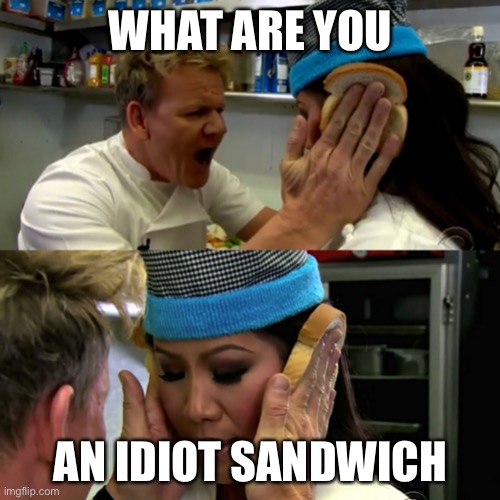 Gordon Ramsay Idiot Sandwich | WHAT ARE YOU AN IDIOT SANDWICH | image tagged in gordon ramsay idiot sandwich | made w/ Imgflip meme maker