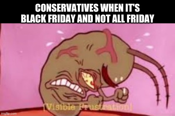 #allfridaysmatter | CONSERVATIVES WHEN IT'S BLACK FRIDAY AND NOT ALL FRIDAY | image tagged in visible frustration,funny | made w/ Imgflip meme maker
