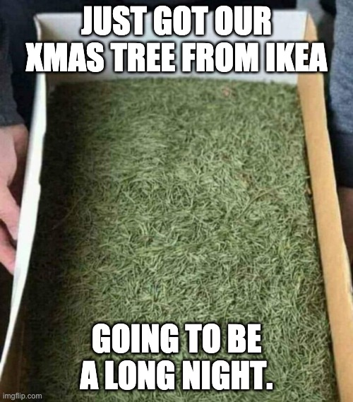 IKEA Xmas Tree | JUST GOT OUR XMAS TREE FROM IKEA; GOING TO BE A LONG NIGHT. | image tagged in xmastree | made w/ Imgflip meme maker