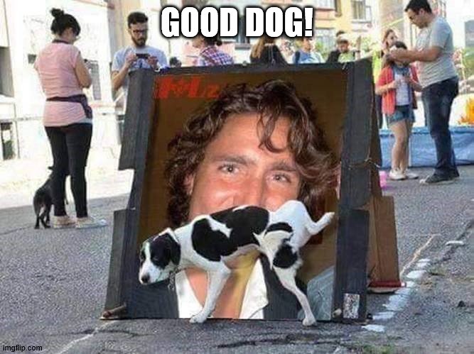 Good Dog | GOOD DOG! | image tagged in funny dogs | made w/ Imgflip meme maker