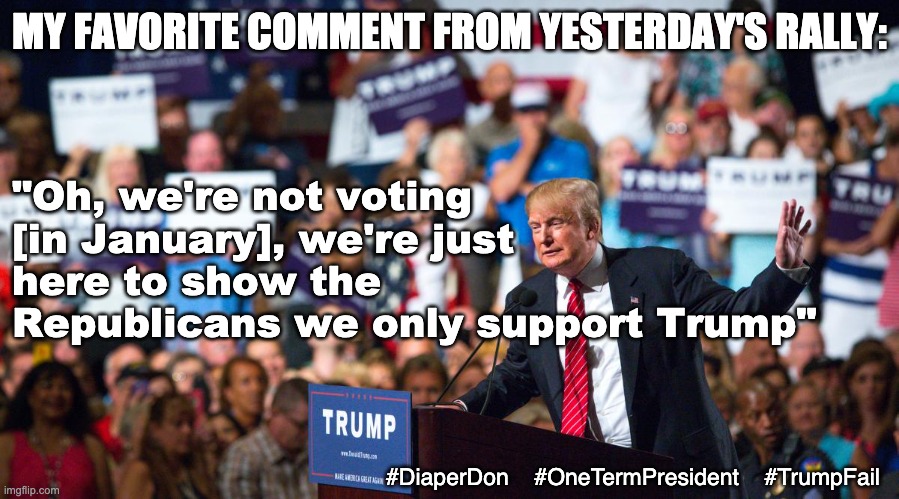 Yes, that's the way to show them . . . | MY FAVORITE COMMENT FROM YESTERDAY'S RALLY:; "Oh, we're not voting [in January], we're just here to show the Republicans we only support Trump"; #DiaperDon    #OneTermPresident    #TrumpFail | image tagged in suggestion for butthurt trump supporters,failure,election,senate,georgia,loser | made w/ Imgflip meme maker