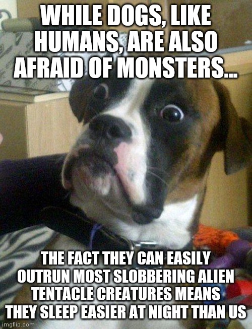 Dog truth #371 | WHILE DOGS, LIKE HUMANS, ARE ALSO AFRAID OF MONSTERS... THE FACT THEY CAN EASILY OUTRUN MOST SLOBBERING ALIEN TENTACLE CREATURES MEANS THEY SLEEP EASIER AT NIGHT THAN US | image tagged in blankie the shocked dog,monster | made w/ Imgflip meme maker