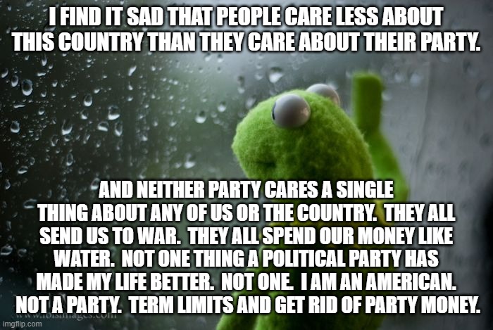 kermit window | I FIND IT SAD THAT PEOPLE CARE LESS ABOUT THIS COUNTRY THAN THEY CARE ABOUT THEIR PARTY. AND NEITHER PARTY CARES A SINGLE THING ABOUT ANY OF | image tagged in kermit window | made w/ Imgflip meme maker