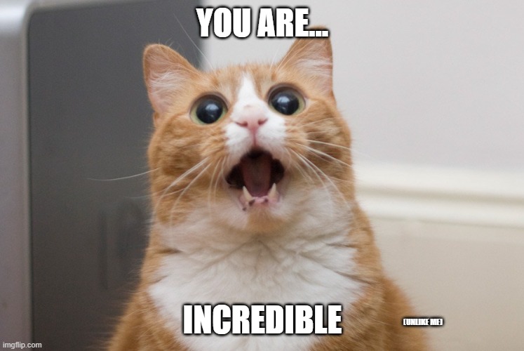 Amazed cat | YOU ARE... INCREDIBLE; (UNLIKE ME) | image tagged in amazed cat | made w/ Imgflip meme maker
